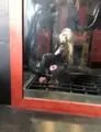 Escort Mistress Zeth-The sissy Academy Dominance