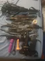 Escort African Mistress Dominance