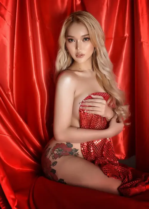 Escort Babe Travel