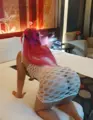 Escort Caila Couples