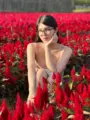 Escort Munriga Feasts and Events