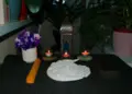Escort Alex Traditional massage