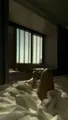 Escort Achi Facefuck